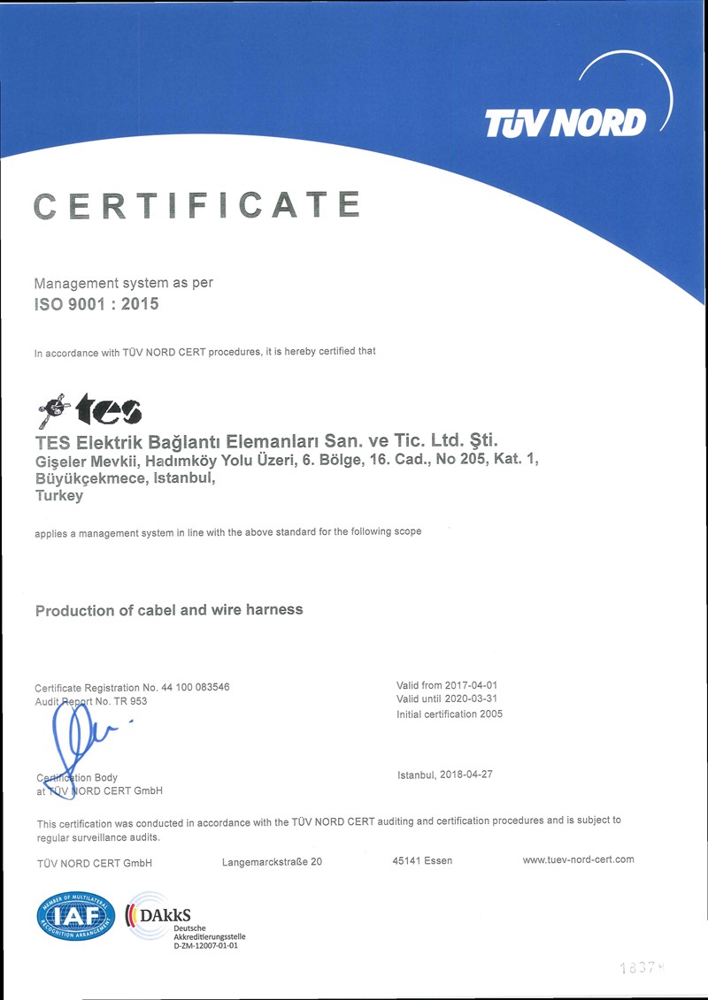 TES Elektrik Achieved ISO 9001:2015 Certification!